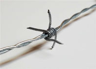 Corbonの低い鋼線の塗られる電気電流を通された2.5mmの有刺鉄線の網ポリ塩化ビニール