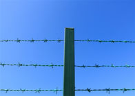 ポリ塩化ビニール チェーン・リンクの塀の上の上塗を施してあるLowaの有刺鉄線の緑の防御フェンス