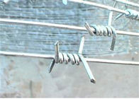 アコーディオン式の形の大きさの有刺鉄線は、ねじれの有刺鉄線の高い安全性のシャープを選抜します
